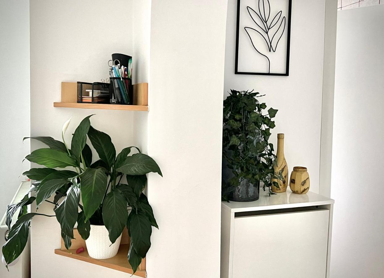 Travellers Apartment Kolozsvár Kültér fotó